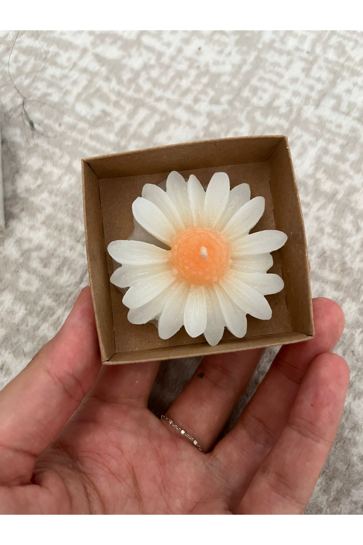 6x6x2 Kutuda Papatya Mumu