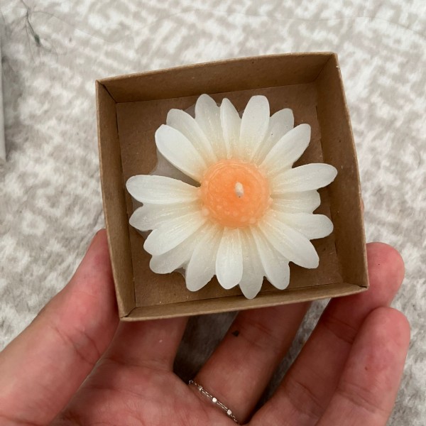 6x6x2 Kutuda Papatya Mumu