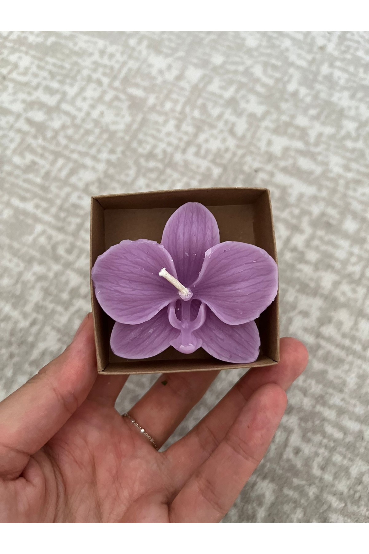 6x6x2 Kraft Kutuda Mor Orkide Mumu