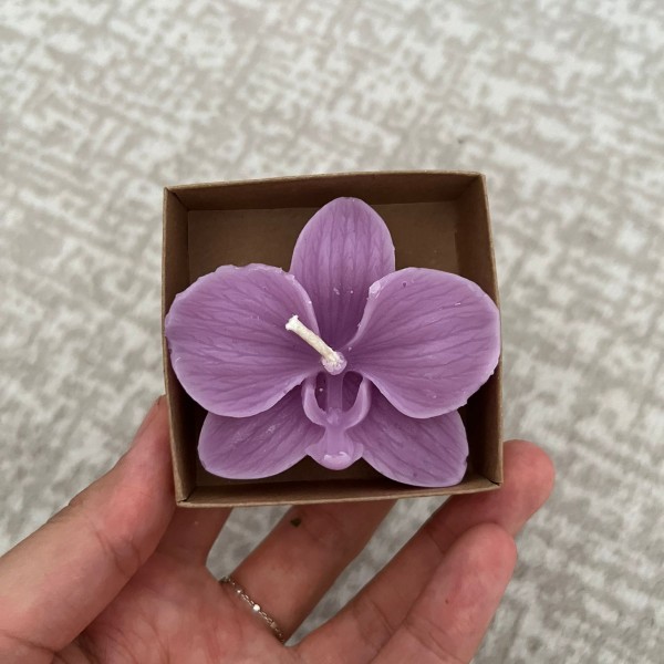 6x6x2 Kraft Kutuda Mor Orkide Mumu