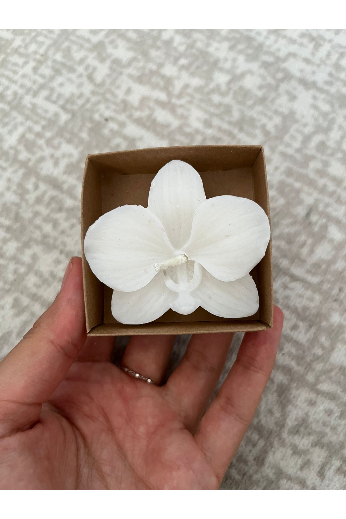 6x6x2 Kraft Kutuda Beyaz Orkide Mum 