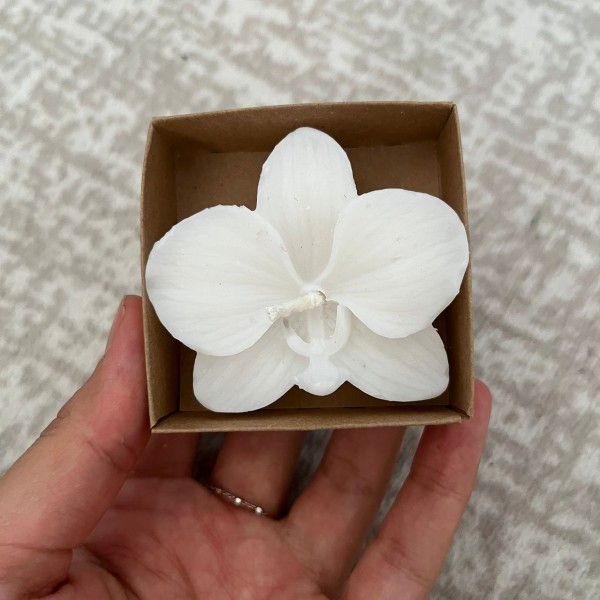 6x6x2 Kraft Kutuda Beyaz Orkide Mum 