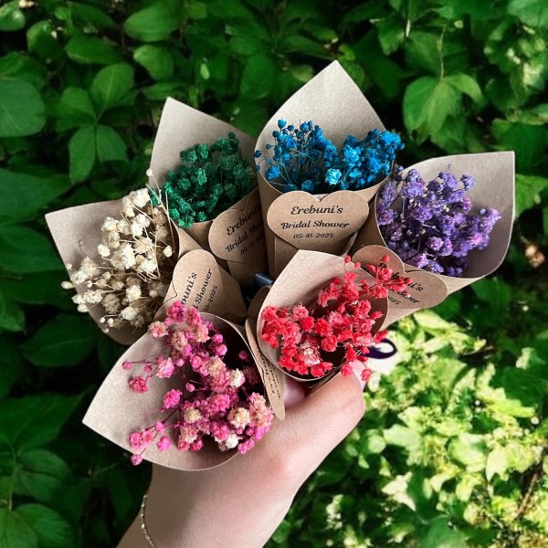 Cipsolu Mini Magnet Külahı